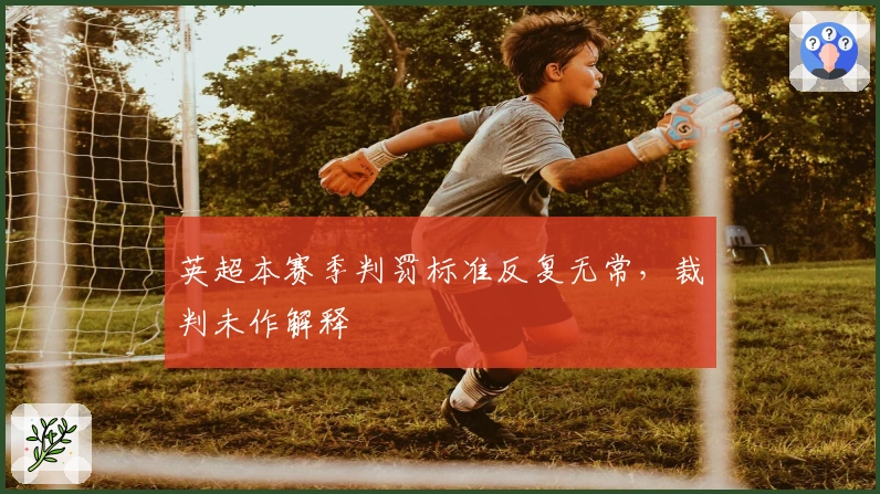 英超本赛季判罚标准反复无常，裁判未作解释