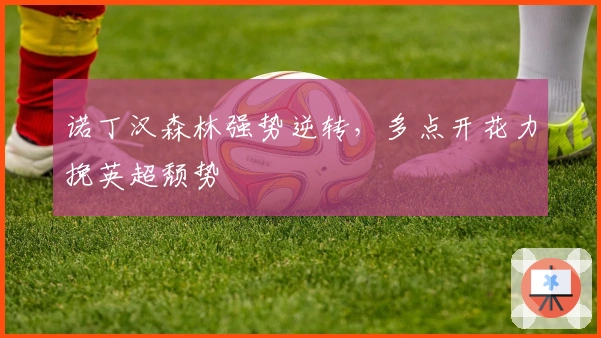 诺丁汉森林强势逆转，多点开花力挽英超颓势