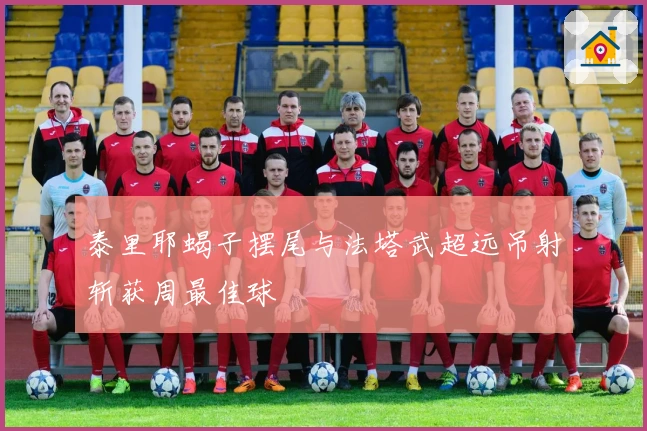 泰里耶蝎子摆尾与法塔武超远吊射斩获周最佳球